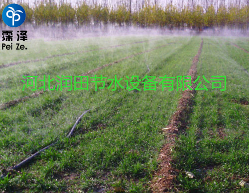 元氏微喷带喷灌技术